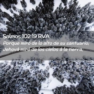 Picture 02 - Salmos 102:19 RVA - Porque miró de lo alto de su santuario; Jehová - Bible Verse Picture