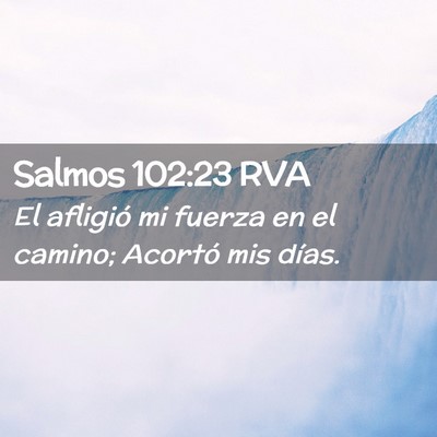 Picture 02 - Salmos 102:23 RVA - El afligió mi fuerza en el camino; Acortó mis - Bible Verse Picture