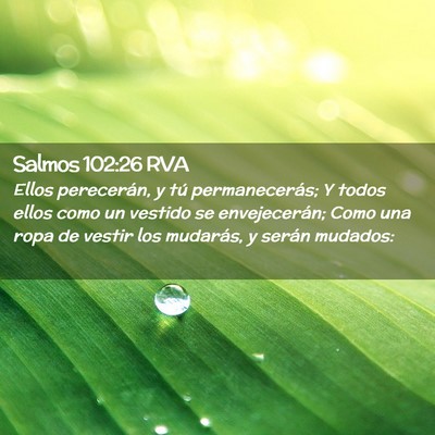 Picture 02 - Salmos 102:26 RVA - Ellos perecerán, y tú permanecerás; Y todos - Bible Verse Picture