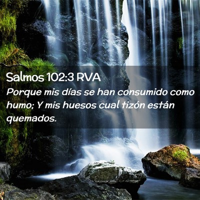Picture 02 - Salmos 102:3 RVA - Porque mis días se han consumido como humo; Y - Bible Verse Picture