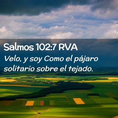 Picture 02 - Salmos 102:7 RVA - Velo, y soy Como el pájaro solitario sobre el - Bible Verse Picture