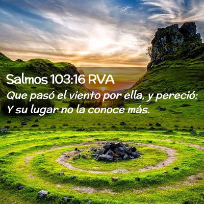 Picture 02 - Salmos 103:16 RVA - Que pasó el viento por ella, y pereció: Y su - Bible Verse Picture