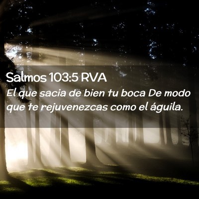 Picture 02 - Salmos 103:5 RVA - El que sacia de bien tu boca De modo que te - Bible Verse Picture