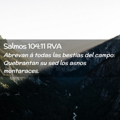 Picture 02 - Salmos 104:11 RVA - Abrevan á todas las bestias del campo: - Bible Verse Picture