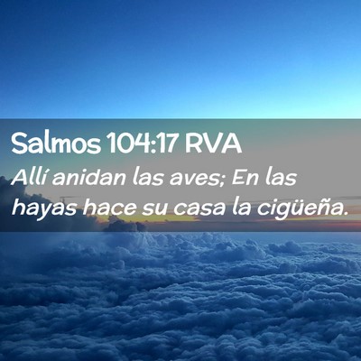 Picture 02 - Salmos 104:17 RVA - Allí anidan las aves; En las hayas hace su casa - Bible Verse Picture