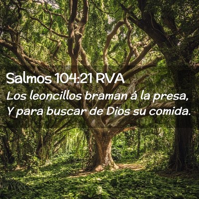 Picture 02 - Salmos 104:21 RVA - Los leoncillos braman á la presa, Y para buscar - Bible Verse Picture