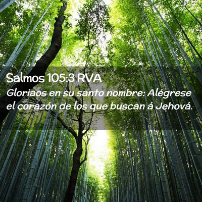 Picture 02 - Salmos 105:3 RVA - Gloriaos en su santo nombre: Alégrese el - Bible Verse Picture