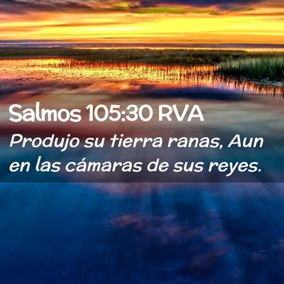 Picture 02 - Salmos 105:30 RVA - Produjo su tierra ranas, Aun en las cámaras de - Bible Verse Picture