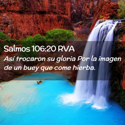 Picture 02 - Salmos 106:20 RVA - Así trocaron su gloria Por la imagen de un buey - Bible Verse Picture