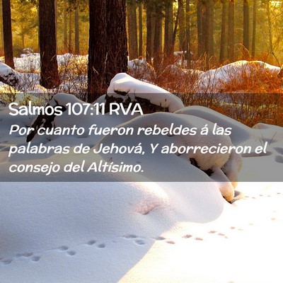 Picture 02 - Salmos 107:11 RVA - Por cuanto fueron rebeldes á las palabras de - Bible Verse Picture