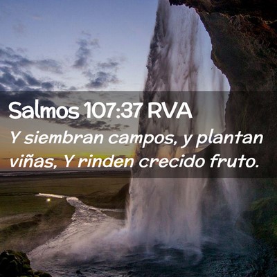 Picture 02 - Salmos 107:37 RVA - Y siembran campos, y plantan viñas, Y rinden - Bible Verse Picture
