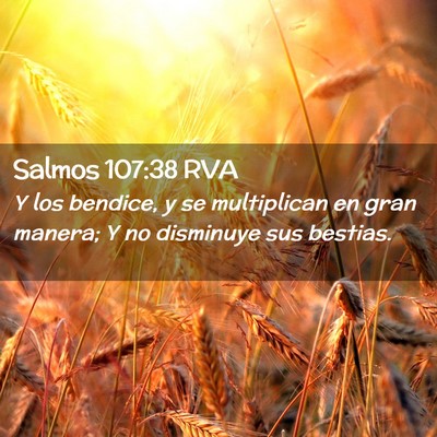 Picture 02 - Salmos 107:38 RVA - Y los bendice, y se multiplican en gran manera; Y - Bible Verse Picture