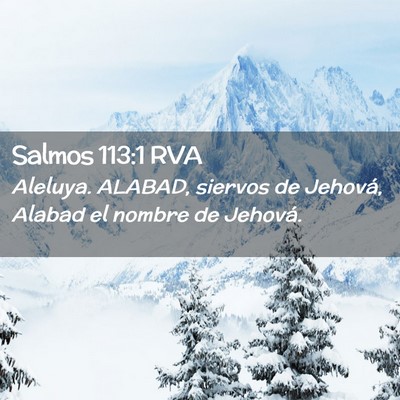 Picture 02 - Salmos 113:1 RVA - Aleluya. ALABAD, siervos de Jehová, Alabad el - Bible Verse Picture