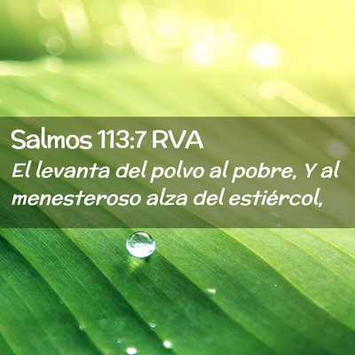 Picture 02 - Salmos 113:7 RVA - El levanta del polvo al pobre, Y al menesteroso - Bible Verse Picture