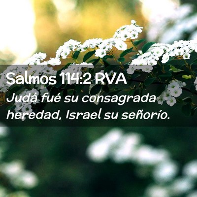Picture 02 - Salmos 114:2 RVA - Judá fué su consagrada heredad, Israel su - Bible Verse Picture