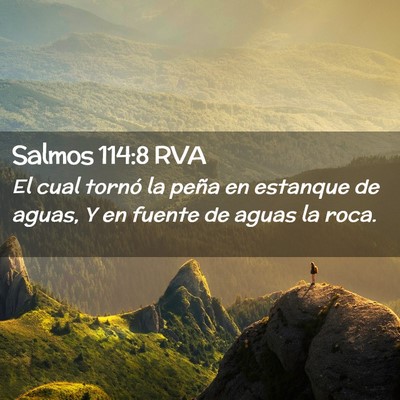Picture 02 - Salmos 114:8 RVA - El cual tornó la peña en estanque de aguas, Y - Bible Verse Picture