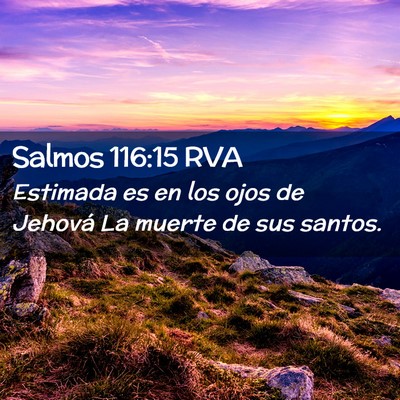 Picture 02 - Salmos 116:15 RVA - Estimada es en los ojos de Jehová La muerte de - Bible Verse Picture