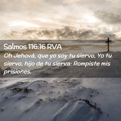 Picture 02 - Salmos 116:16 RVA - Oh Jehová, que yo soy tu siervo, Yo tu siervo, - Bible Verse Picture