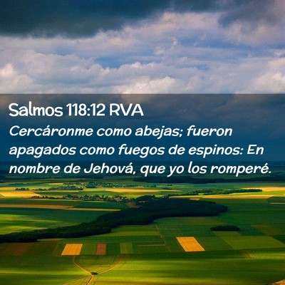Picture 02 - Salmos 118:12 RVA - Cercáronme como abejas; fueron apagados como - Bible Verse Picture