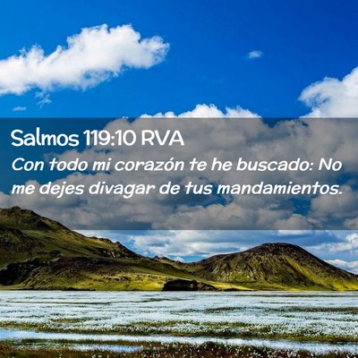 Picture 02 - Salmos 119:10 RVA - Con todo mi corazón te he buscado: No me dejes - Bible Verse Picture