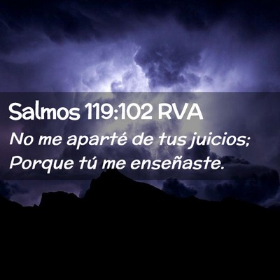 Picture 02 - Salmos 119:102 RVA - No me aparté de tus juicios; Porque tú me - Bible Verse Picture