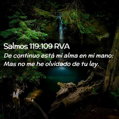 Picture 02 - Salmos 119:109 RVA - De continuo está mi alma en mi mano: Mas no me - Bible Verse Picture
