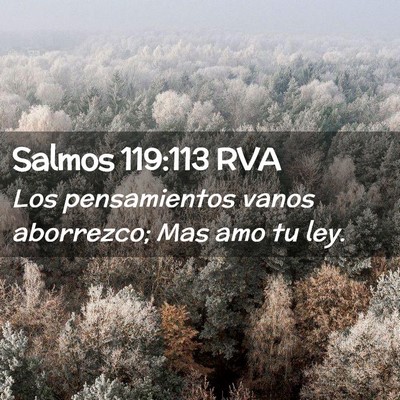 Picture 02 - Salmos 119:113 RVA - Los pensamientos vanos aborrezco; Mas amo tu - Bible Verse Picture