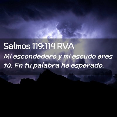 Picture 02 - Salmos 119:114 RVA - Mi escondedero y mi escudo eres tú: En tu - Bible Verse Picture
