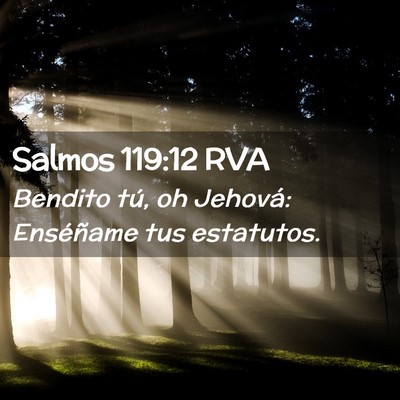 Picture 02 - Salmos 119:12 RVA - Bendito tú, oh Jehová: Enséñame tus - Bible Verse Picture
