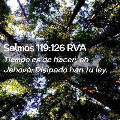 Picture 02 - Salmos 119:126 RVA - Tiempo es de hacer, oh Jehová; Disipado han tu - Bible Verse Picture