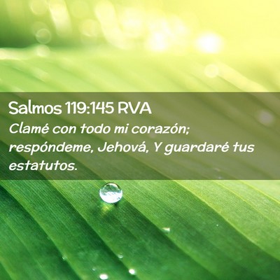 Picture 02 - Salmos 119:145 RVA - Clamé con todo mi corazón; respóndeme, - Bible Verse Picture