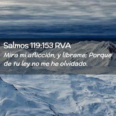 Picture 02 - Salmos 119:153 RVA - Mira mi aflicción, y líbrame; Porque de tu ley - Bible Verse Picture
