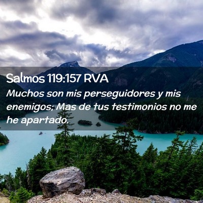 Picture 02 - Salmos 119:157 RVA - Muchos son mis perseguidores y mis enemigos; Mas - Bible Verse Picture