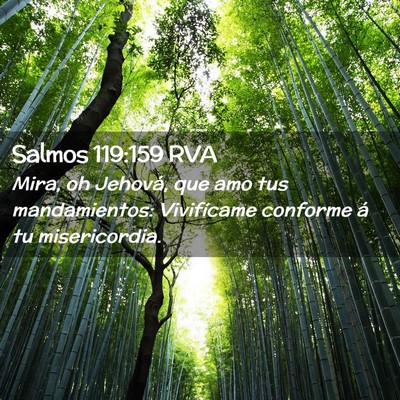 Picture 02 - Salmos 119:159 RVA - Mira, oh Jehová, que amo tus mandamientos: - Bible Verse Picture