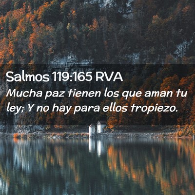 Picture 02 - Salmos 119:165 RVA - Mucha paz tienen los que aman tu ley; Y no hay - Bible Verse Picture