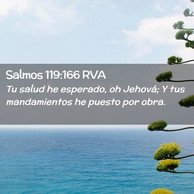 Picture 02 - Salmos 119:166 RVA - Tu salud he esperado, oh Jehová; Y tus - Bible Verse Picture