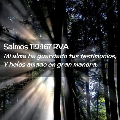 Picture 02 - Salmos 119:167 RVA - Mi alma ha guardado tus testimonios, Y helos - Bible Verse Picture