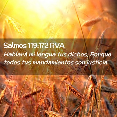 Picture 02 - Salmos 119:172 RVA - Hablará mi lengua tus dichos; Porque todos tus - Bible Verse Picture