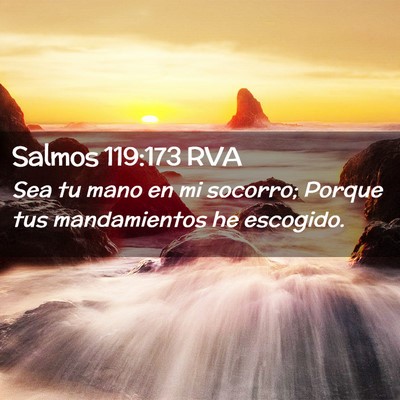 Picture 02 - Salmos 119:173 RVA - Sea tu mano en mi socorro; Porque tus - Bible Verse Picture