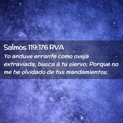 Picture 02 - Salmos 119:176 RVA - Yo anduve errante como oveja extraviada; busca á - Bible Verse Picture