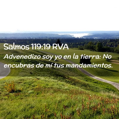 Picture 02 - Salmos 119:19 RVA - Advenedizo soy yo en la tierra: No encubras de - Bible Verse Picture