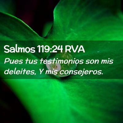 Picture 02 - Salmos 119:24 RVA - Pues tus testimonios son mis deleites, Y mis - Bible Verse Picture