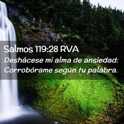 Picture 02 - Salmos 119:28 RVA - Deshácese mi alma de ansiedad: Corrobórame - Bible Verse Picture