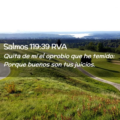 Picture 02 - Salmos 119:39 RVA - Quita de mí el oprobio que he temido: Porque - Bible Verse Picture