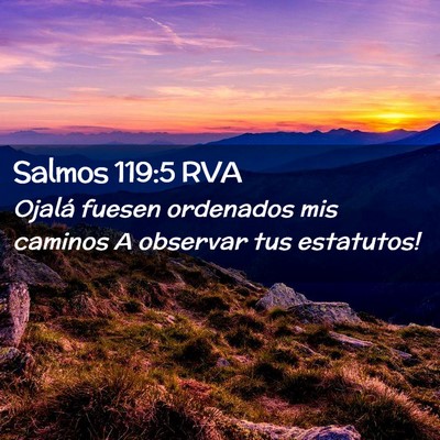 Picture 02 - Salmos 119:5 RVA - Ojalá fuesen ordenados mis caminos A observar - Bible Verse Picture