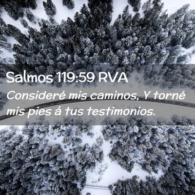 Picture 02 - Salmos 119:59 RVA - Consideré mis caminos, Y torné mis pies á tus - Bible Verse Picture