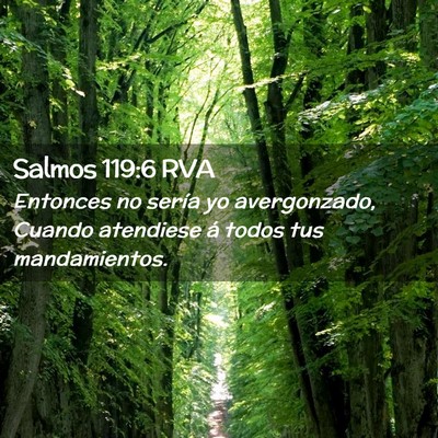 Picture 02 - Salmos 119:6 RVA - Entonces no sería yo avergonzado, Cuando - Bible Verse Picture