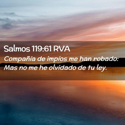 Picture 02 - Salmos 119:61 RVA - Compañía de impíos me han robado: Mas no me he - Bible Verse Picture