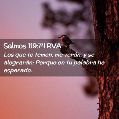 Picture 02 - Salmos 119:74 RVA - Los que te temen, me verán, y se alegrarán; - Bible Verse Picture