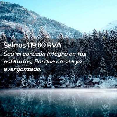 Picture 02 - Salmos 119:80 RVA - Sea mi corazón íntegro en tus estatutos; Porque - Bible Verse Picture